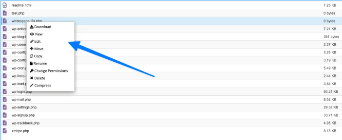 XML declaration, website, wordpress