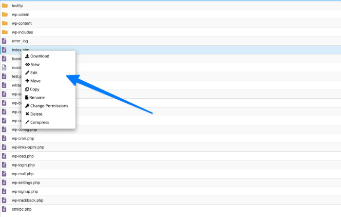 XML declaration, website, wordpress