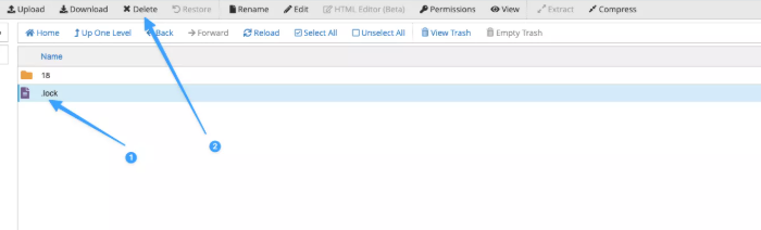 Can’t acquire lock for app,  lỗi Can’t acquire lock for app, cPanel