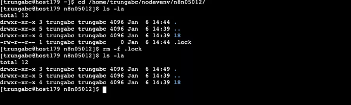 Can’t acquire lock for app,  lỗi Can’t acquire lock for app, cPanel