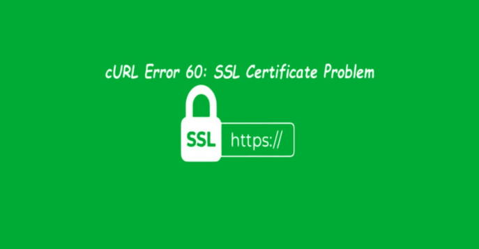 cURL,  SSL, WordPress