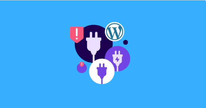 The package, WordPress, theme/plugin.