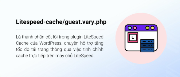 Cách khắc phục lỗi litespeed-cache/guest.vary.php 403 chi tiết litespeed, khắc phục lỗi litespeed-cache/guest.vary.php 403