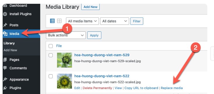 Thay Hình Ảnh Trong WordPress, Hình Ảnh Trong WordPress, Thay Hình Ảnh WordPress đơn giản 