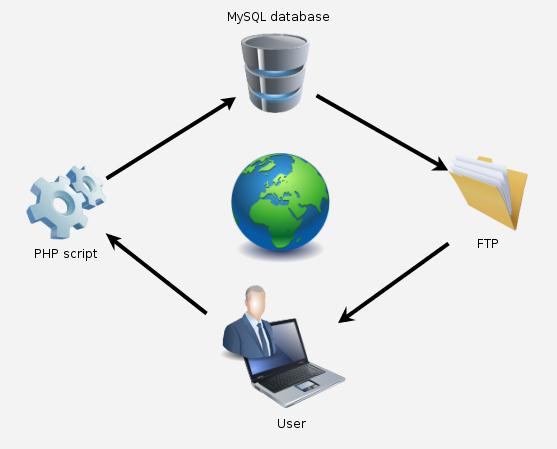 backup, coding, database, mysql, php code