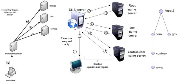 cấu hình DNS, cài đặt cấu hình, Sharecode.vn, server đơn giản