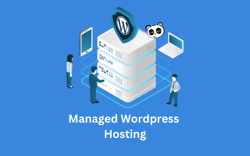 managed hosting, hosting, managed wordpress hosting