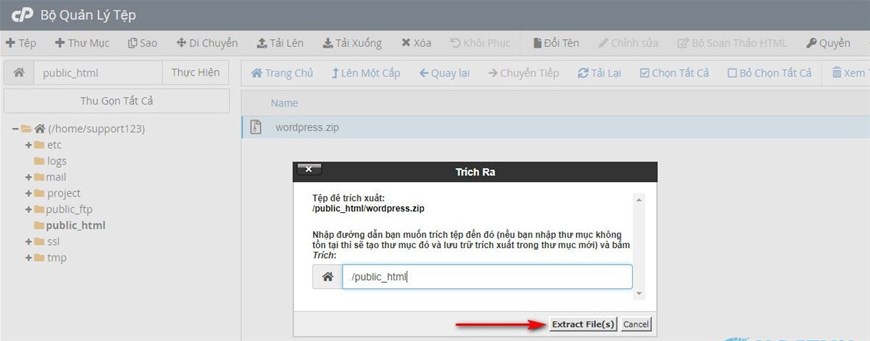 upload dữ liệu,  import database, import database trên Hosting cPanel,  upload dữ liệu  trên Hosting cPanel