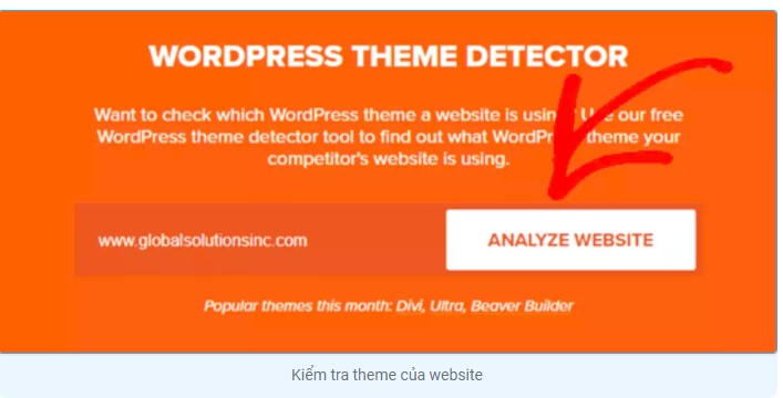 Theme là gì,  theme WordPress, kiến thức về theme WordPress