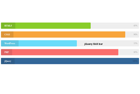 css3, jQuery, progress bar, skill bar,Amimated