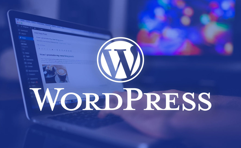WordPress – Nền Tảng Website Lý Tưởng Cho Doanh Nghiệp Việt Nam WordPress cho doanh nghiệp Việt, tạo website doanh nghiệp, vì sao chọn WordPress
