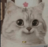   Thành Công 