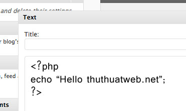 Text Widget, WordPress Hacks,wordpress text, code php, nhúng code php